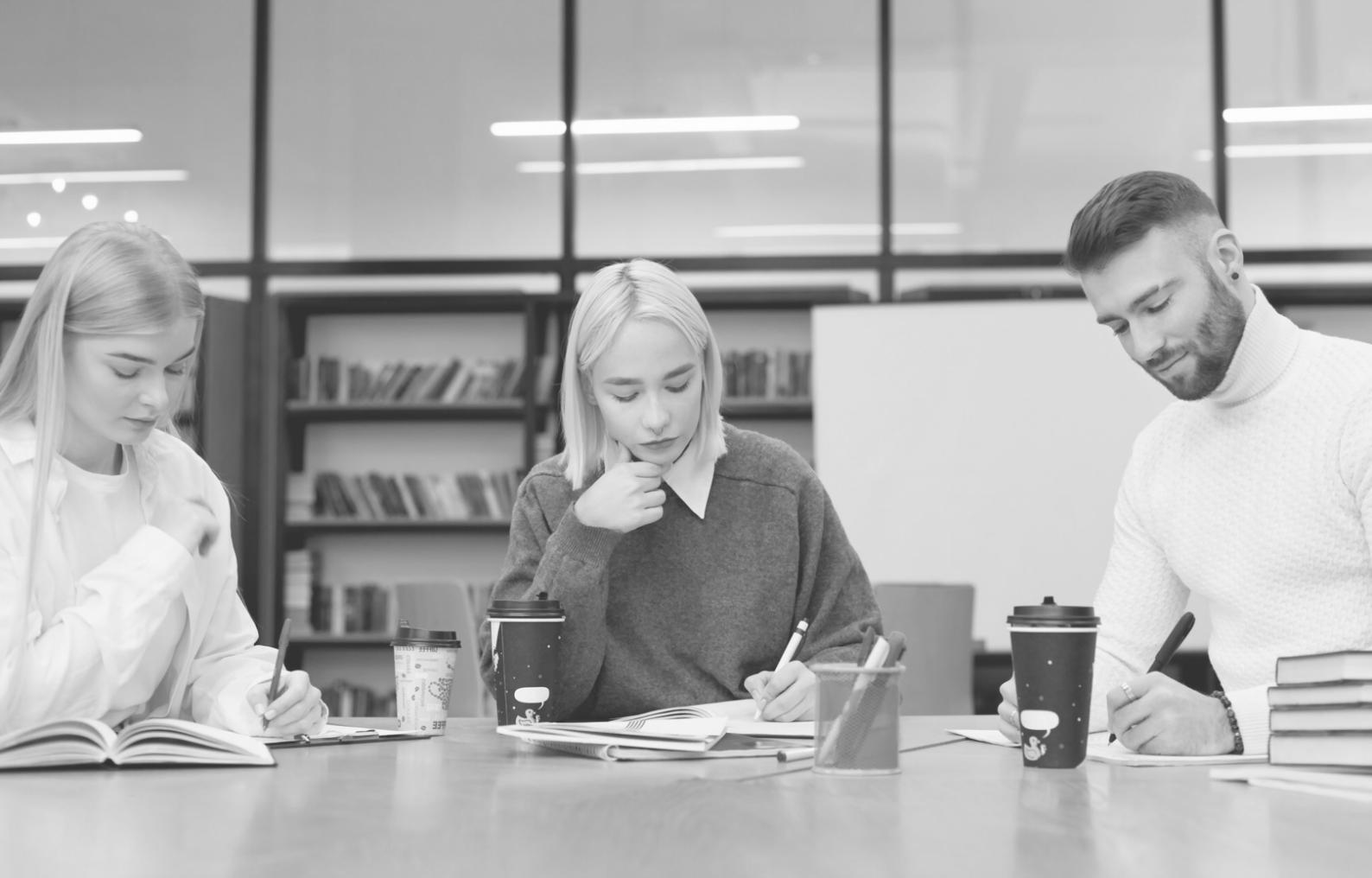 Business consultation and financial strategy session